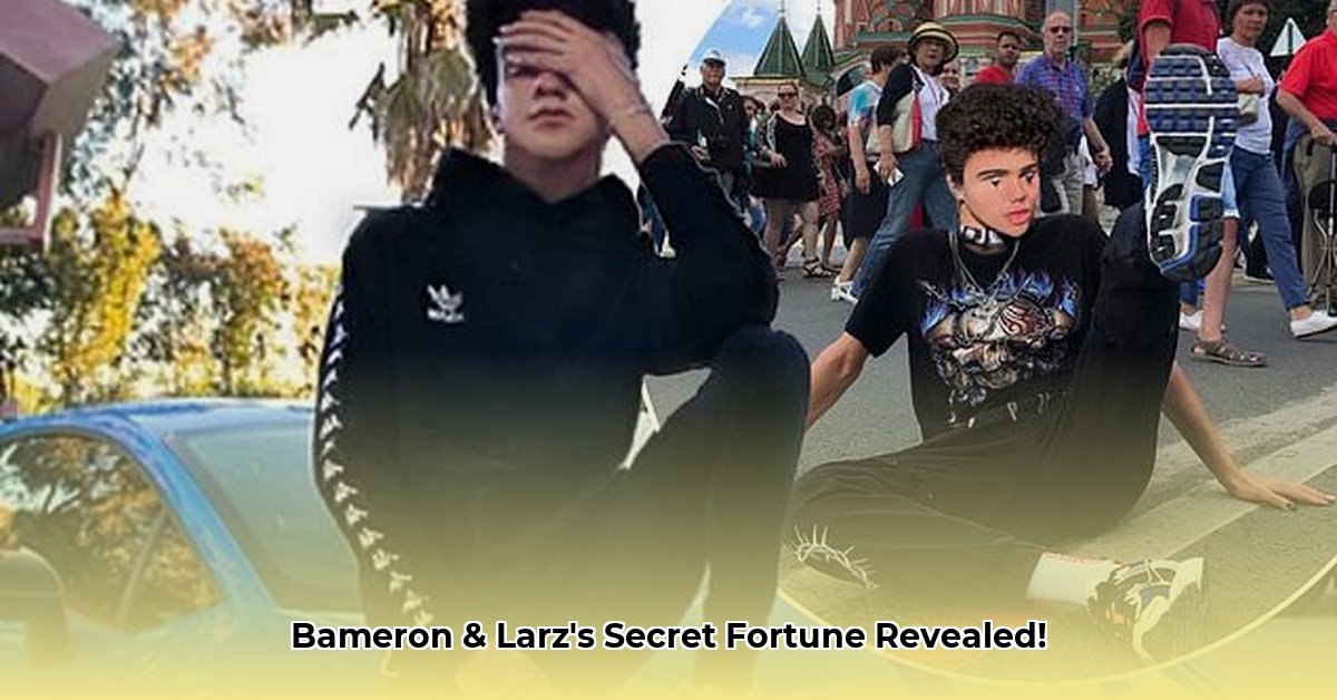 bameron-and-larz-net-worth